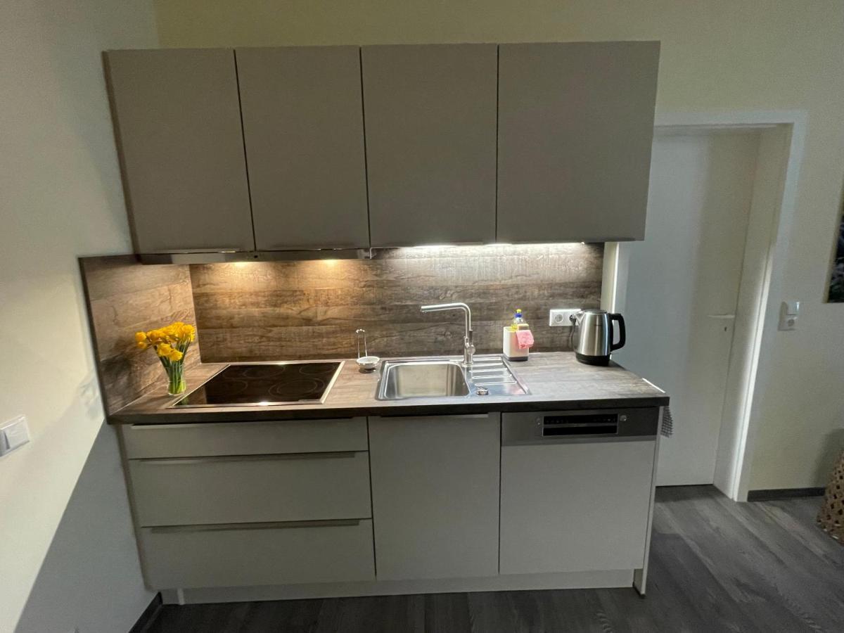 Elisabett Erfurt - Apartment Elisa - 4 Schlafzimmer Und 2 Baeder, Bis 6 Personen Extérieur photo